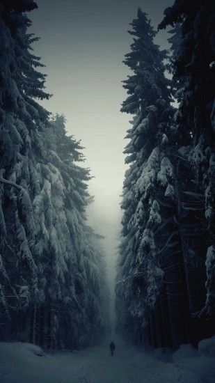 Snow Forest Lonely Walk iPhone 6 Plus HD Wallpaper ...