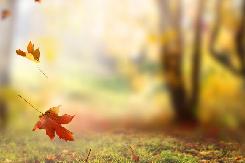 #autumn #leaves #sky #september #october #november #bye #bye