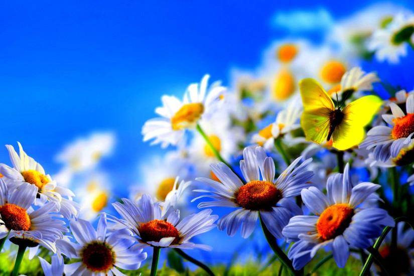 FunMozar – Spring Flowers And Butterflies Wallpapers