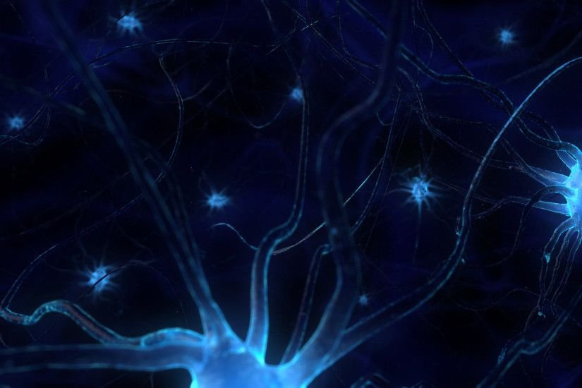Brain Neuron Wallpaper | CNdaily | Brain Neurons Live Wallpaper Download -  Brain Neurons Live .