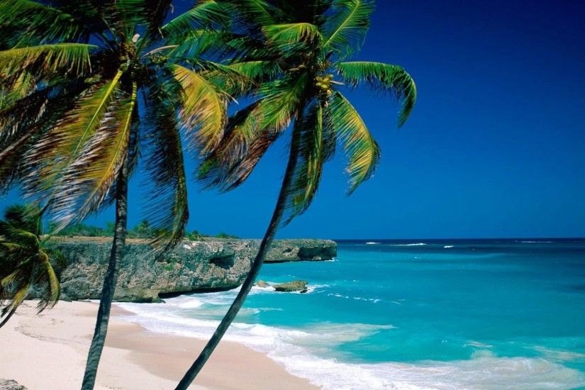White Sandy Beach Ocean Rock Blue Sky Water Sand Trees Nature Island Palms  Airena Background Wallpaper - 1920x1200