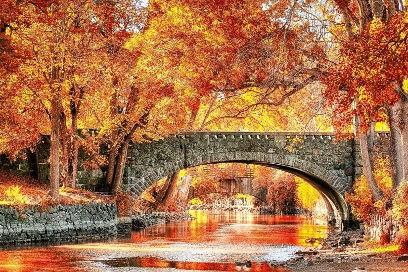 ... Covered bridge in fall - Lakes & Nature Background Wallpapers on .