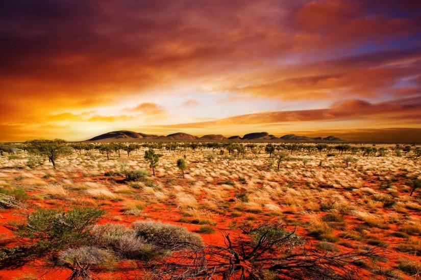 beautiful desert wallpaper 2560x1600 smartphone