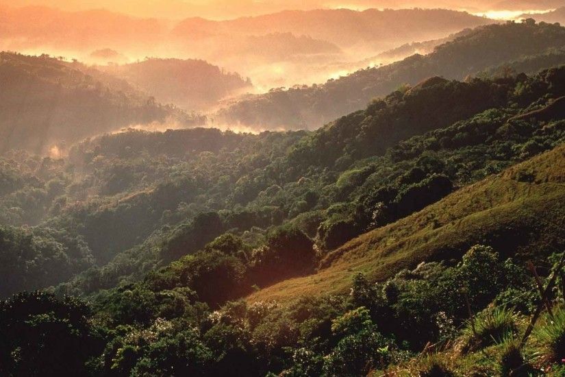 Mountains Puerto Rico Rainforest 3D Nature Wallpaper For PC