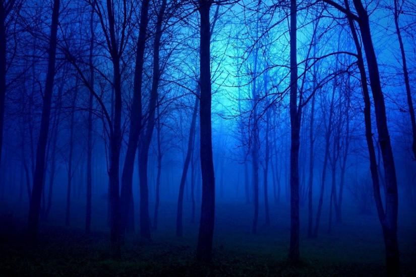 download free dark forest background 1920x1080 windows 10