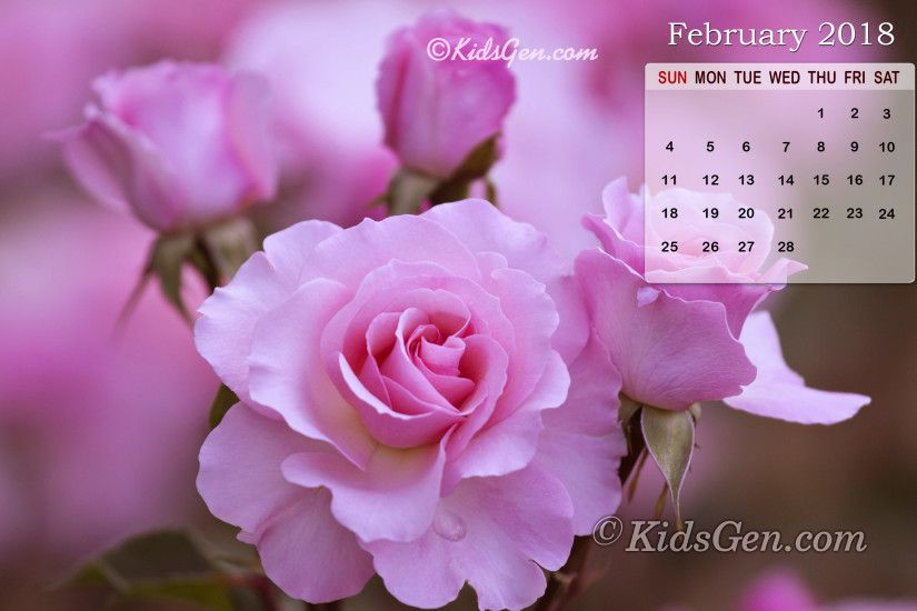 Calendar Wallpaper of February 2018 themed with pink roses