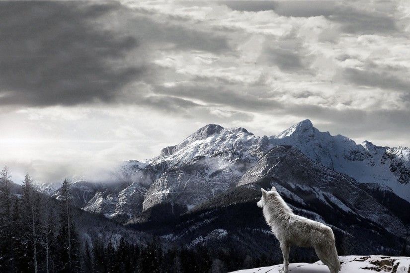 1920x1200 Mountains Gray Wolf Wallpaper