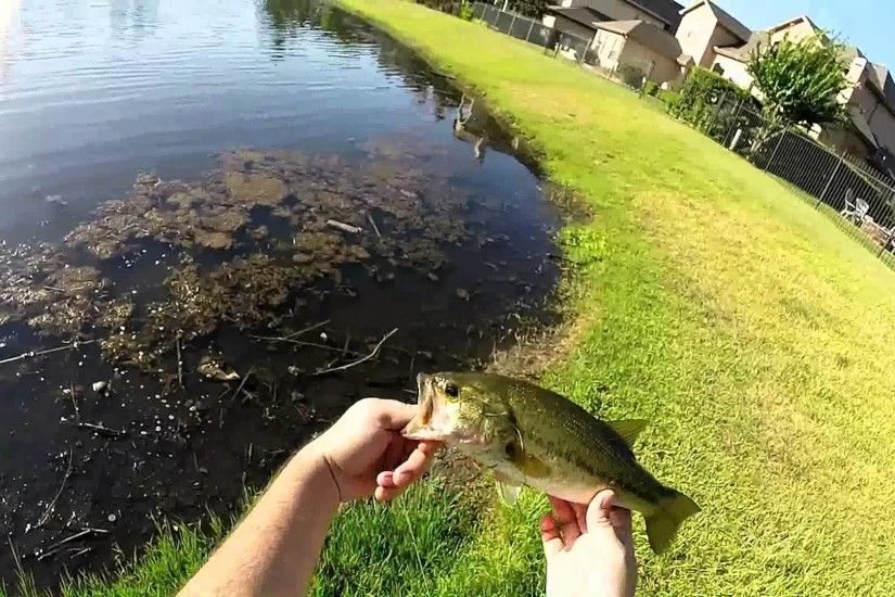 Bass Fishing in The Woodlands Texas Go Pro Hero 3 + HD