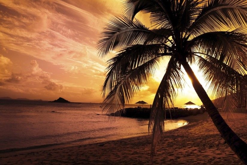 palm trees wallpaper Source Â· Sunset Palm Trees Wallpaper 62 images