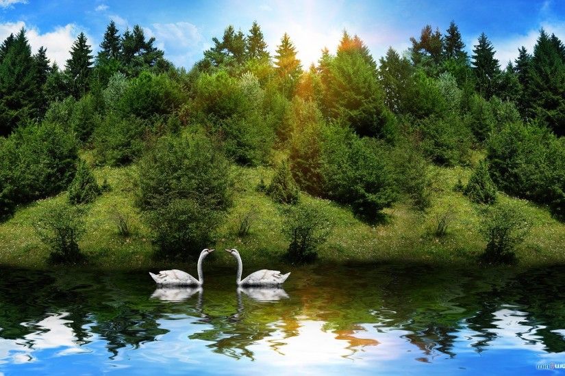 Screen Nature Wallpapers HD download.