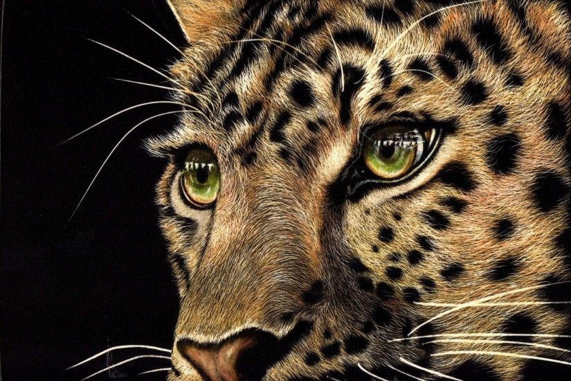 animals predator leopard face view green eyes black background