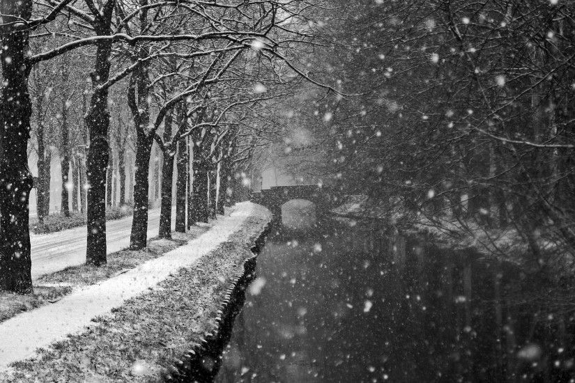 Landscapes winter trees snow flakes storm blizzard wallpaper .