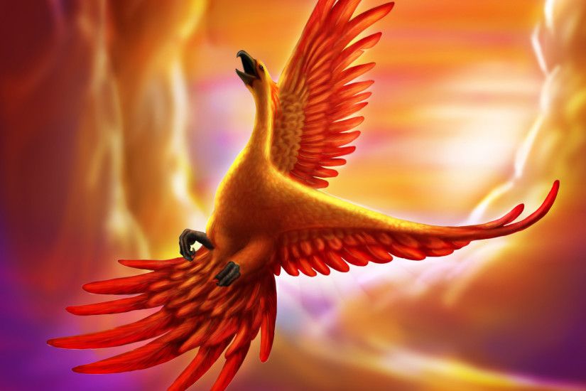 Creature art bird phoenix wallpaper | 2560x1600 | 132645 | WallpaperUP