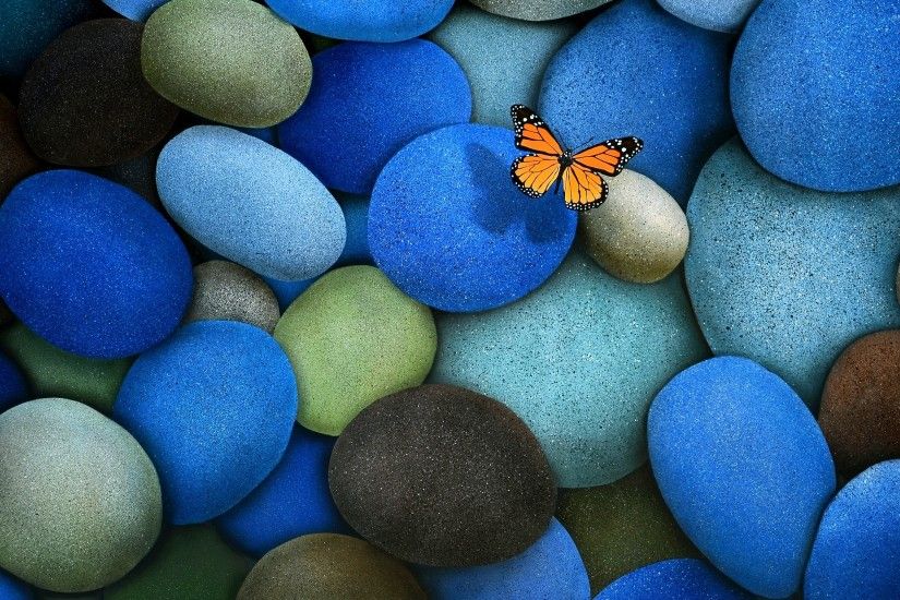 Viceroy butterfly on blue pebbles wallpaper