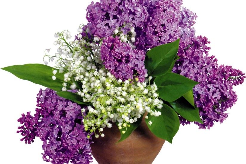 Lilac and white flowers wallpaper