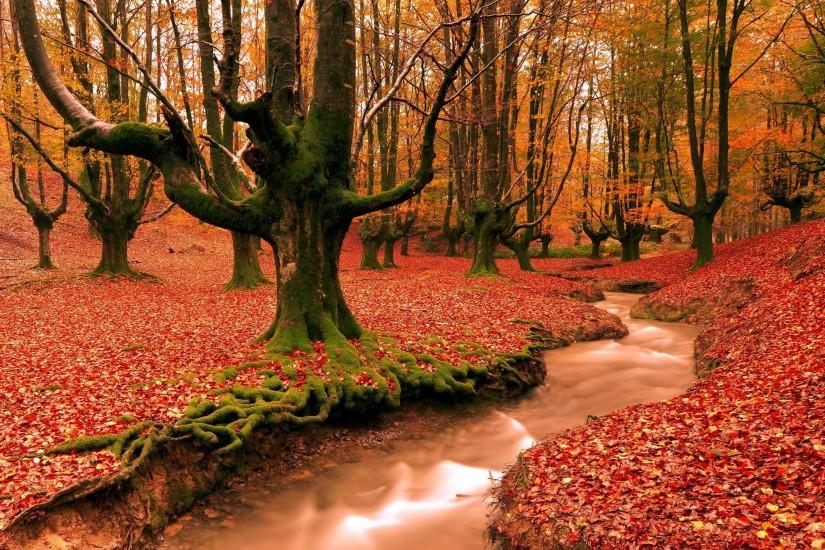autumn tumblr wallpapers with high resolution wallpaper on nature category  similar with 1920x1080 cute fall iphone