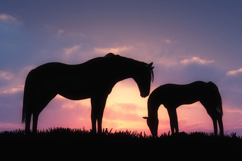 Horses in the grass in the sunset wallpaper 3840x2160 jpg