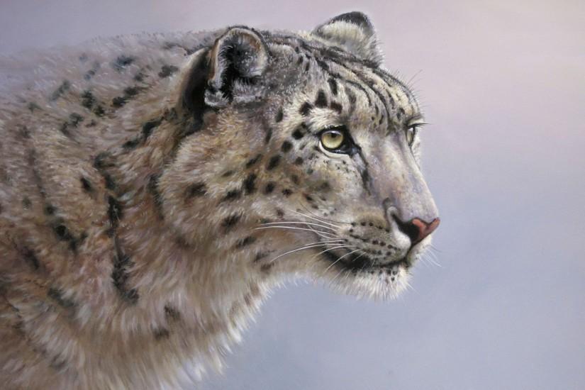 HD Wallpaper | Background ID:360013. 2560x1600 Animal Snow Leopard. 0 Like.  Favorite