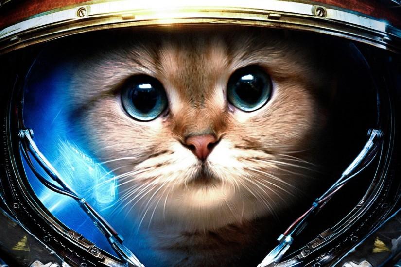 funny tumblr backgrounds cat astronaut 1920x1080