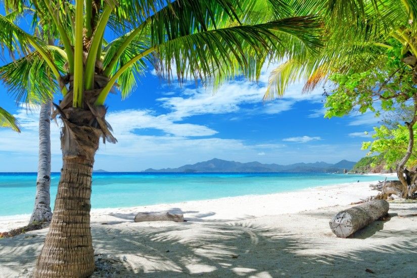 Tempting ocean beach with palm trees HD Desktop Wallpaper