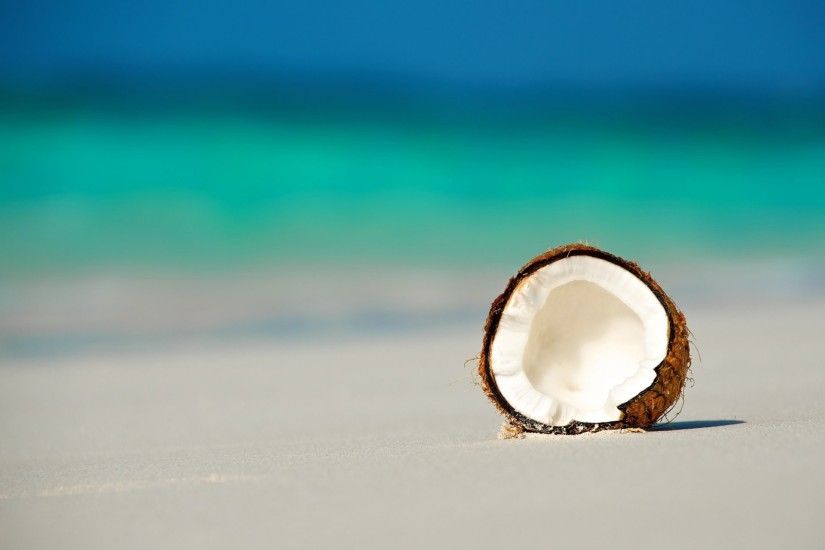 the maldives ocean beach coconut walnut