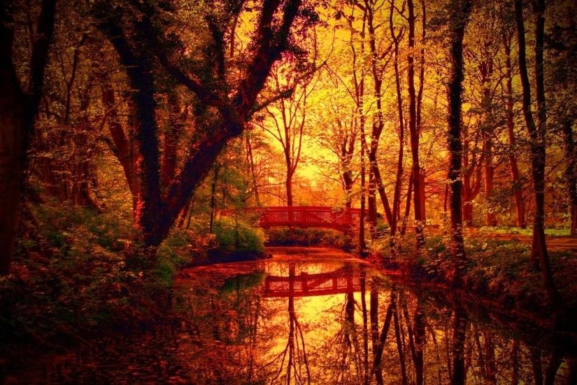 free, autumn, view, on, over, backgrounds, stock, bridge a, windows  wallpapers, creek,fantastic, forest, colors Wallpaper HD