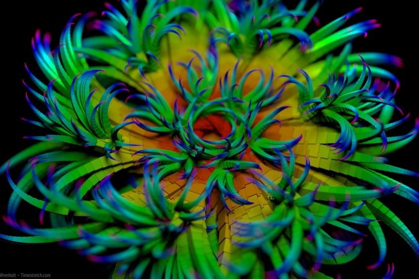 Rainbow Flower Wallpaper Desktop - Viewing Gallery