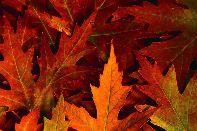 2304x1440 Season Wallpaper: Autumn Wallpaper Desktop Background Very High .