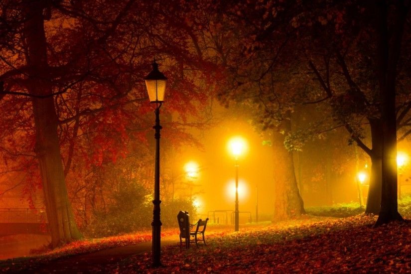 Warm Lights In A Park At Night HD Desktop Background wallpaper free