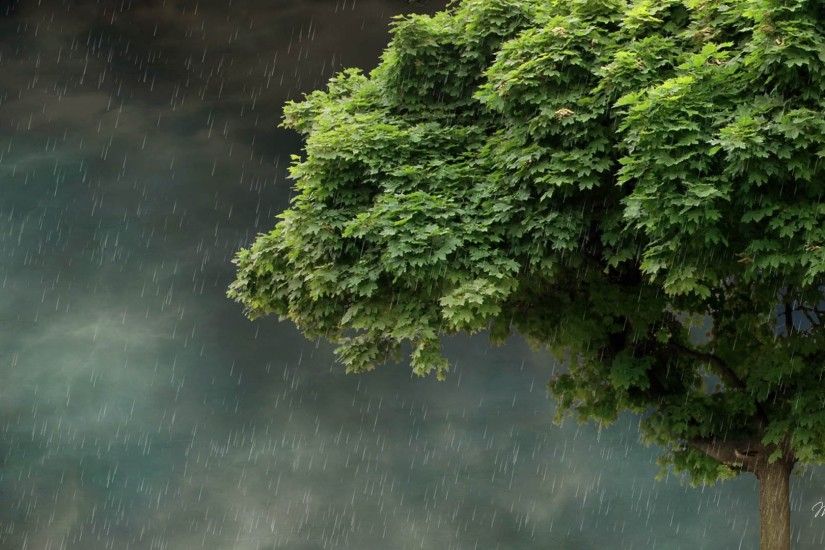 Spring Rain Wallpapers Background