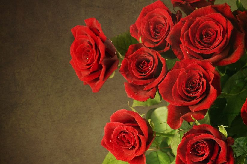 ... Red Rose HD Wallpapers - of 10 - HD Images New Â· Wallpapers Of Rose  Flowers Collection ...