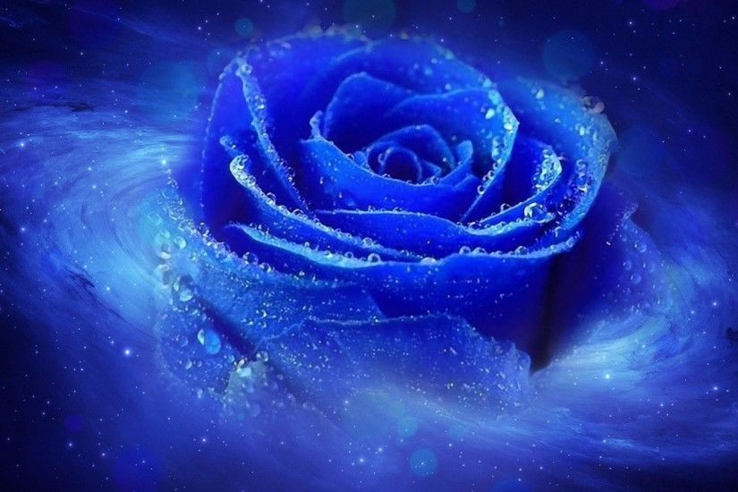 Cool blue dewy rose wallpaper