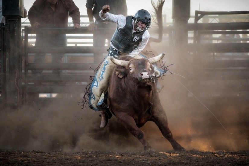 BULL RIDING bullrider cowboy western cow extreme bull rodeo wallpaper |  2000x1125 | 823824 | WallpaperUP