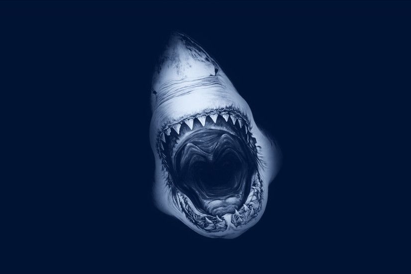 shark attack illustration (via wallpaper ;