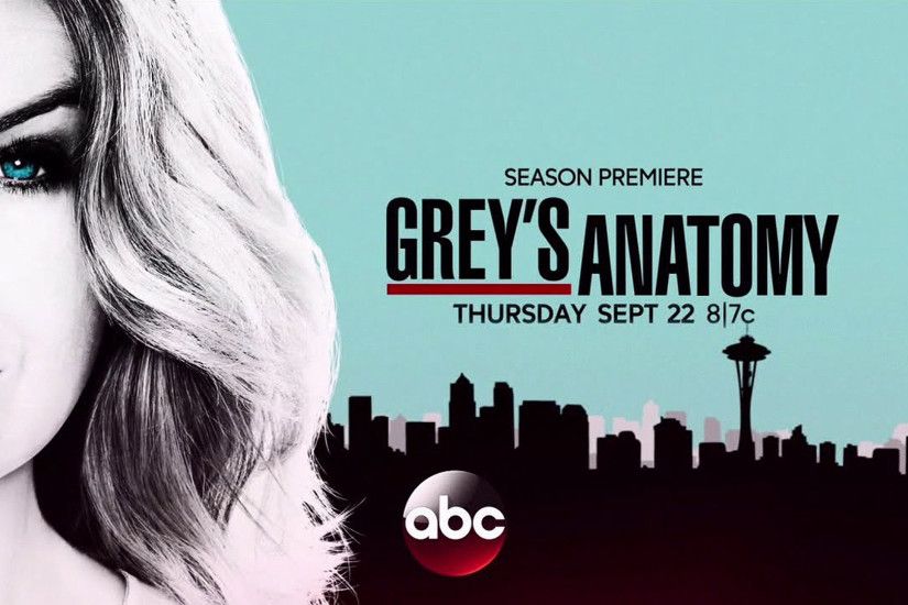 Grey's Anatomy Season 13 Poster 1920x1080 wallpaper