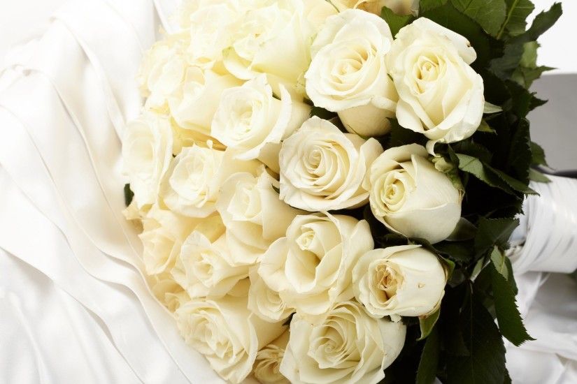 White Rose Desktop Images