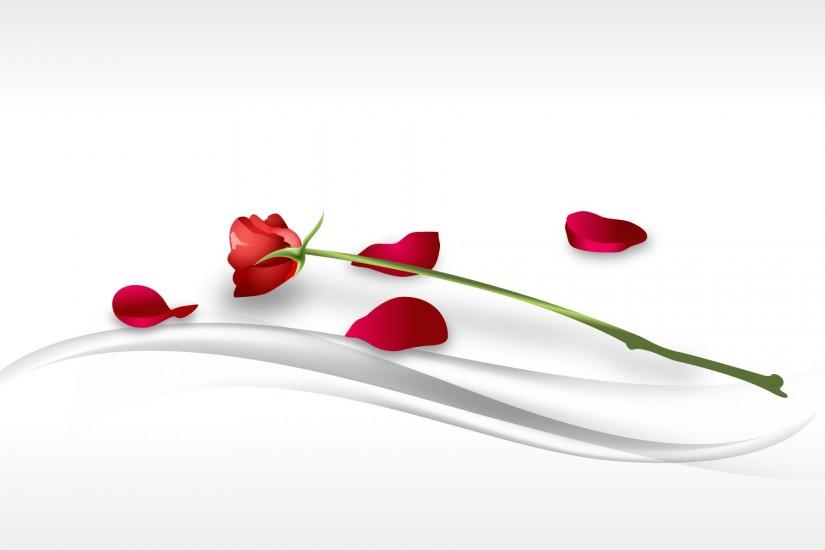 widescreen rose background 1920x1200