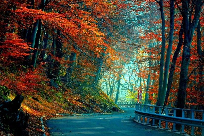 1920x1080 Wallpaper autumn, road, leaves