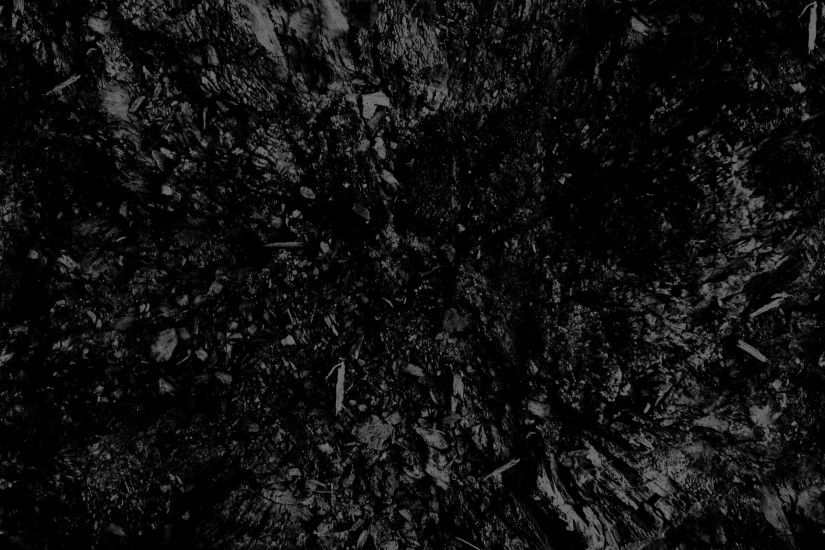 forest white black monochrome black background dark abstract photography  branch texture tree leaf darkness soil computer