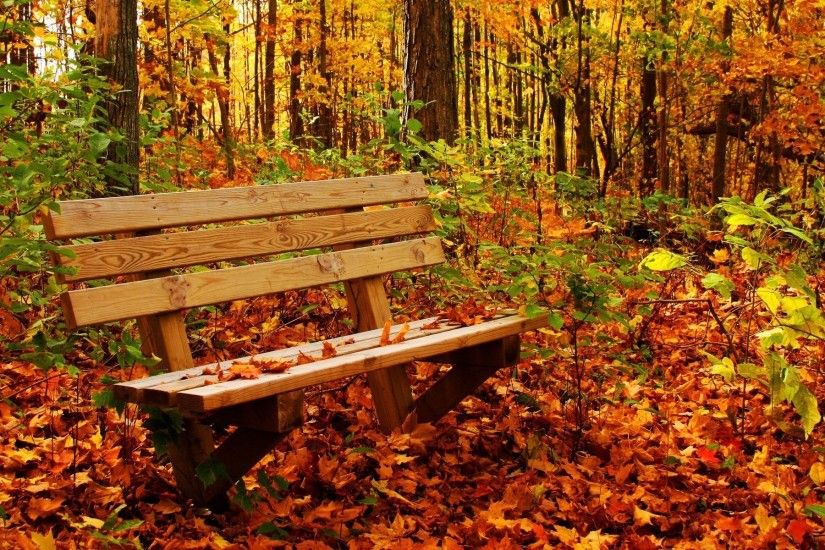 Autumn Nature Wallpaper Desktop