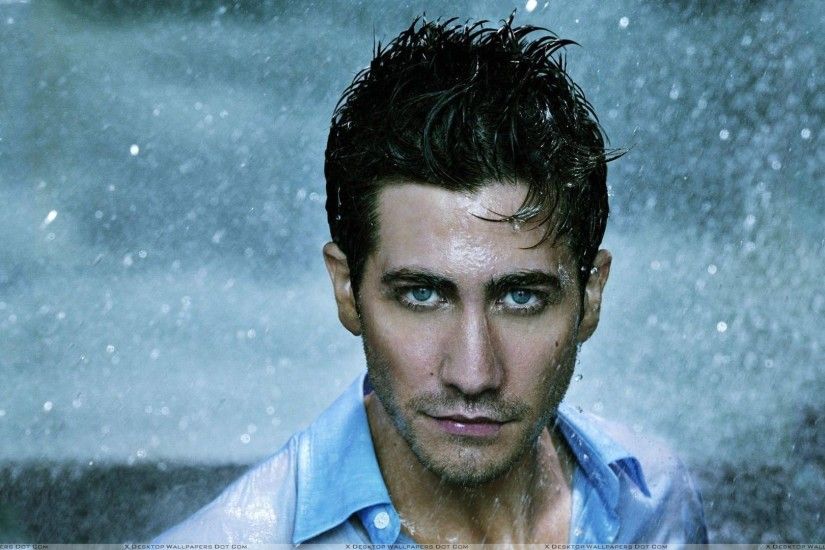 Featured Wallpapers. Sweet Face Of Jake Gyllenhaal