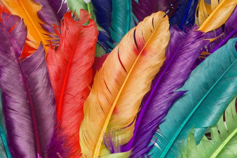 colorful images | colorful feather Wallpaper