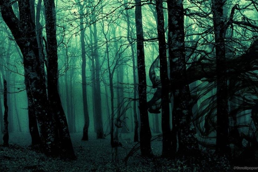 Dark Forest | Dark forest HD Wallpapers Free Download - PCwallpapers.in