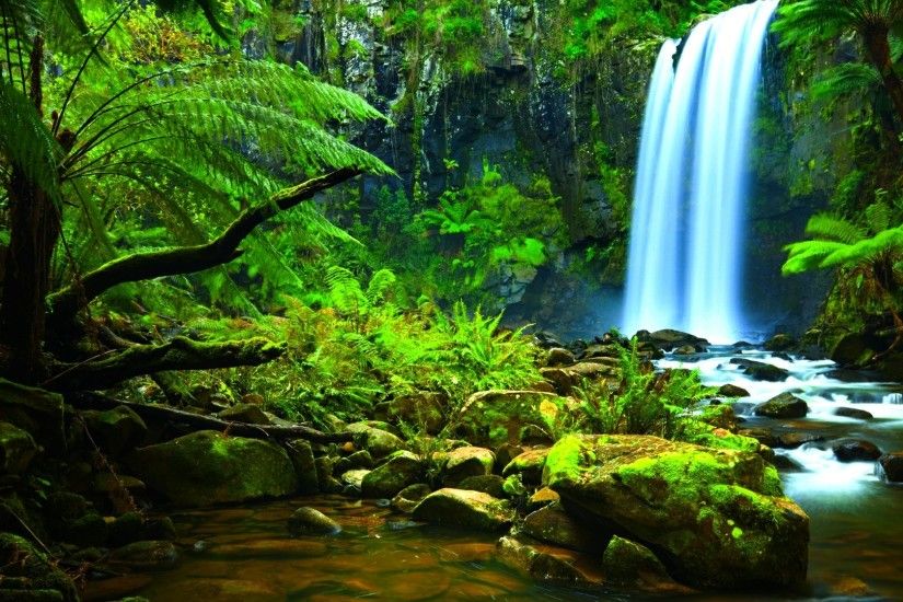 Amazon Rainforest waterfall wallpaper