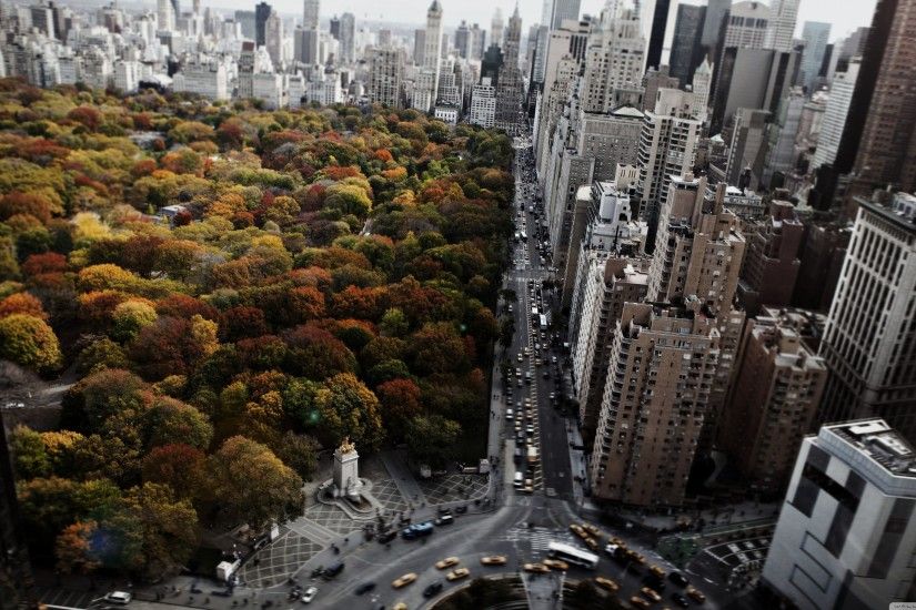 ... Park, Car, Central Park, Taxi, Skyscraper, Fall, Blurred, Birds Eye  View, Window, Roundabouts, Urban Wallpapers HD / Desktop and Mobile  Backgrounds