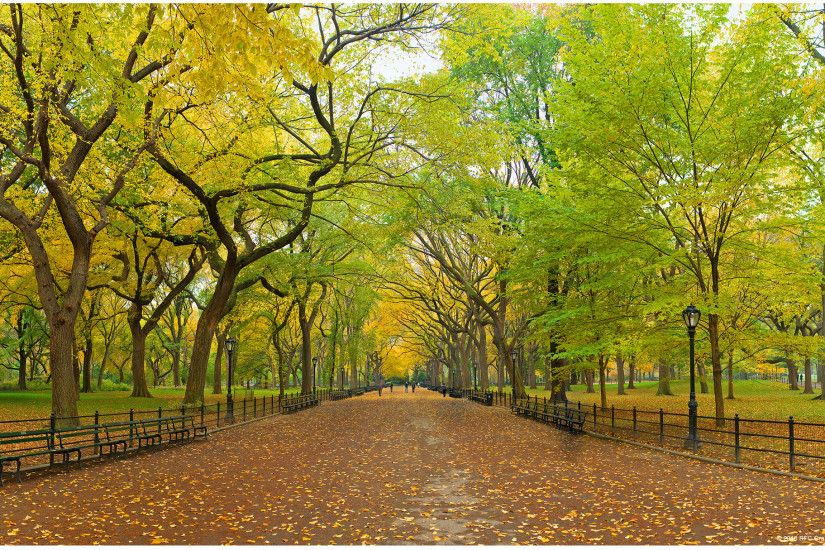 An Autumn Morning In Central Park Wallpaper