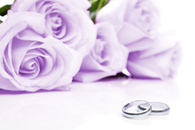 cloth wedding rings flower purple roses cloth wedding rings flowers lilac  roses