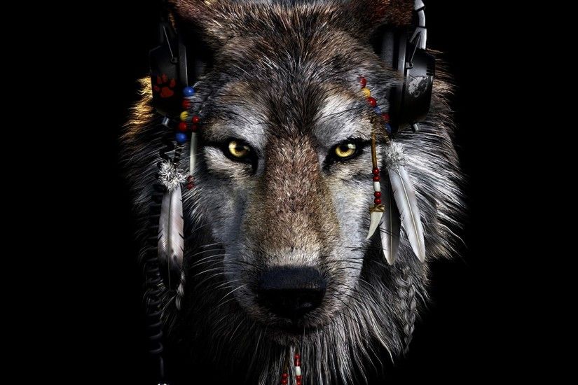 Wallpaper Indian wolf -| OutOfBit