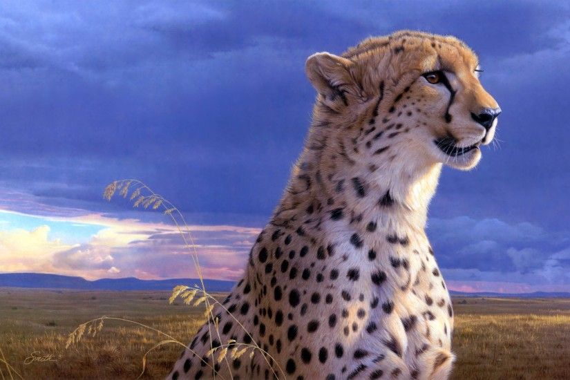 43 Cheetah HD Wallpapers