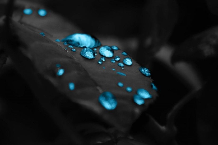 Wallpaper blue drops in a black leaf 1920 x 1080 full hd